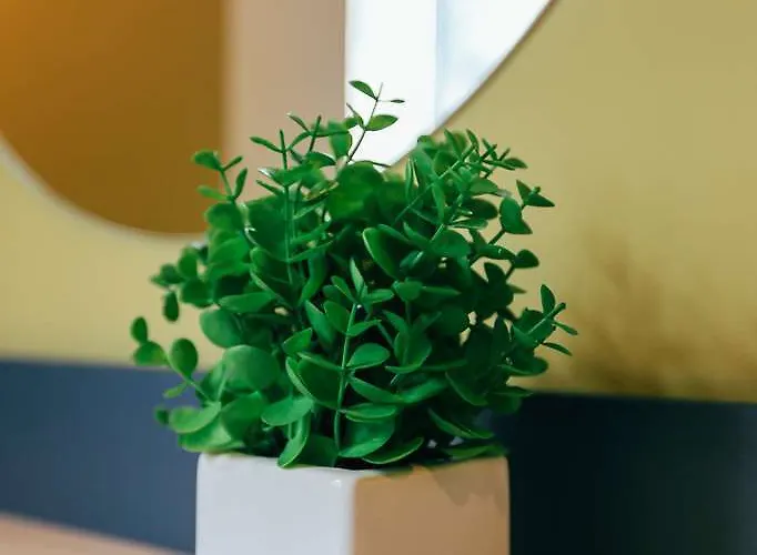 Jam Hnatyuka Leópolis